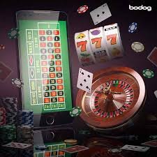 x365 slot